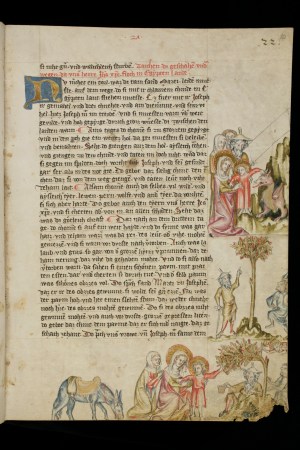 e-codices_sbs-0008_020r_large