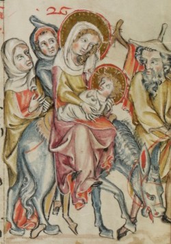 e-codices_sbs-0008_019r_large_detail